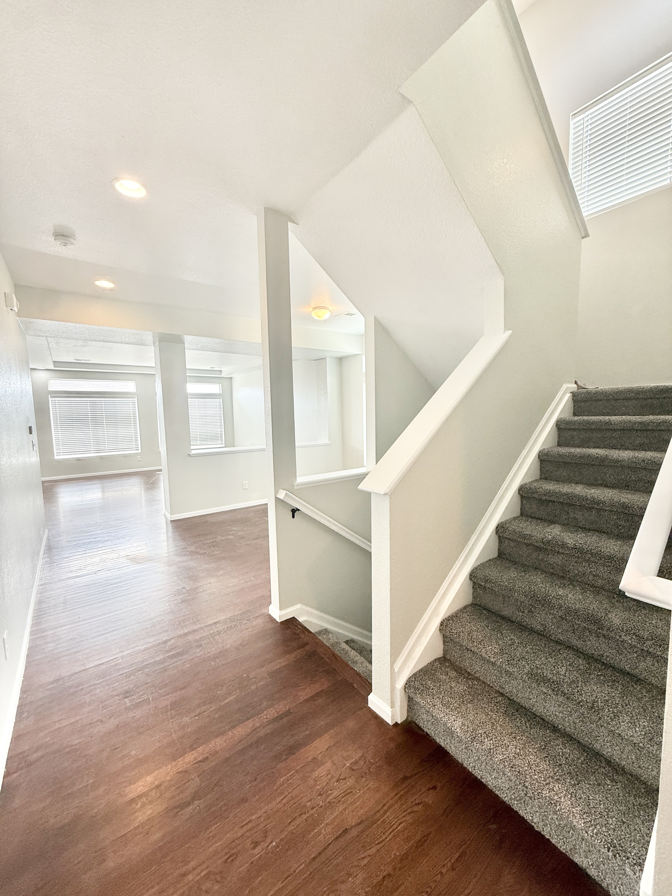 3403 Yellowwood Lane